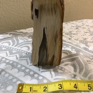 Sweet Home, OR POLISHED petrified wood